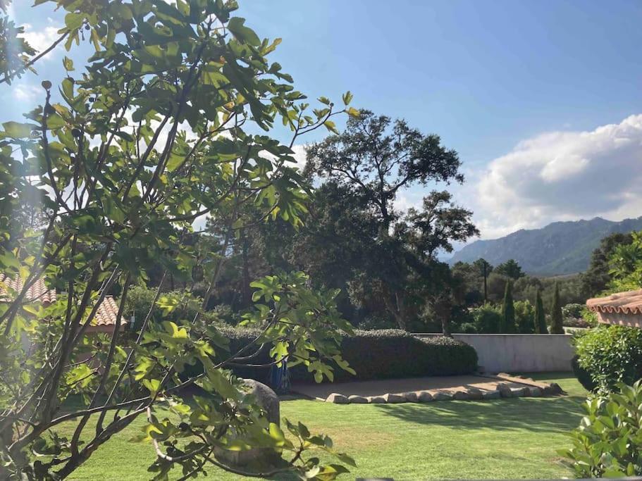 Maison Sainte Lucie De Porto-Vecchio Kültér fotó